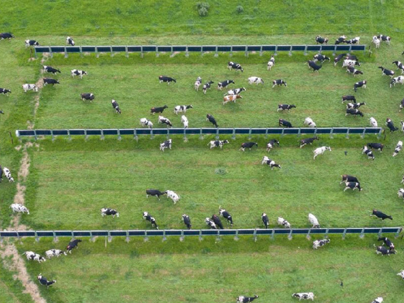 Vertical Structures Solar Farm racking system solar panel Fenceground mounting solar farms mount system in ground Vertical Structures Solar Farm racking system solar panel Fenceground mounting solar farms mount system in ground