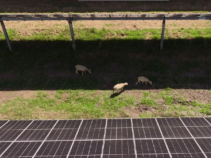Animal Husbandry solar system Animal Husbandry solar system